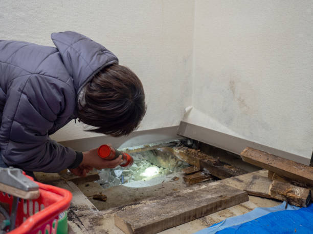Mold Documentation for Insurance Claims in Omro, WI
