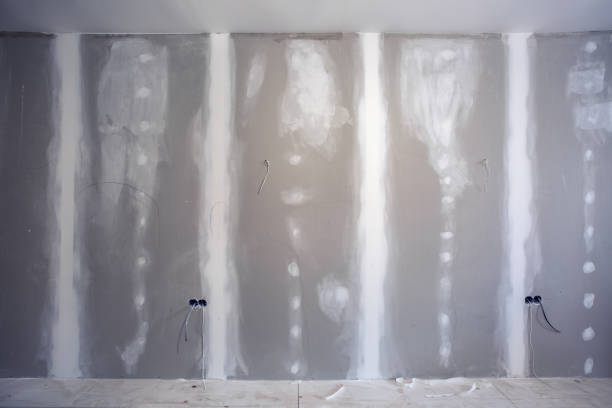 Best HVAC Mold Inspection and Cleaning  in Omro, WI